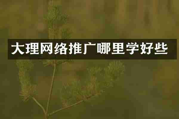 大理网络推广哪里学好些
