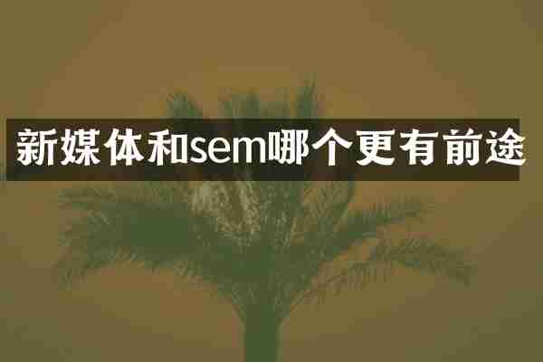 新媒体和sem哪个更有前途