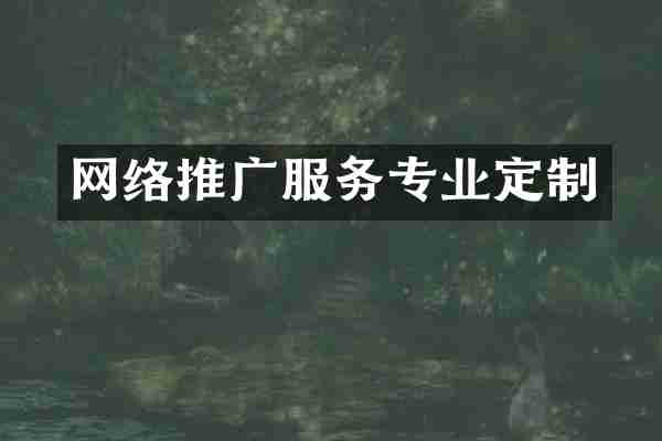 网络推广服务专业定制