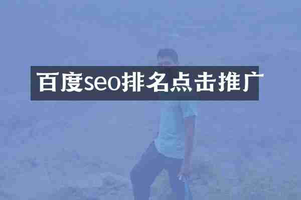 百度seo排名点击推广