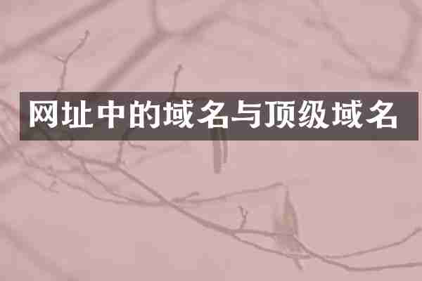 网址中的域名与顶级域名