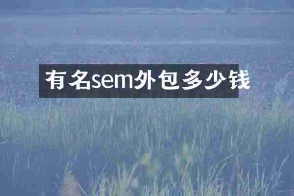 有名sem外包多少钱
