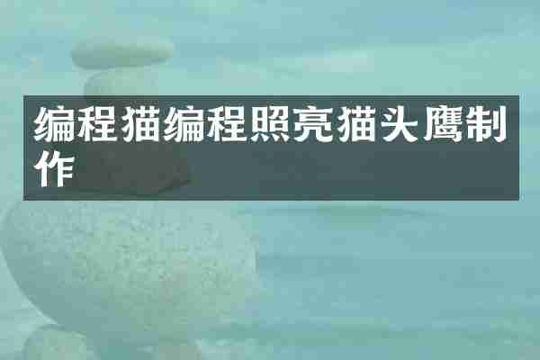 编程猫编程照亮猫头鹰制作