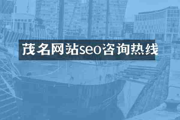 茂名网站seo咨询热线