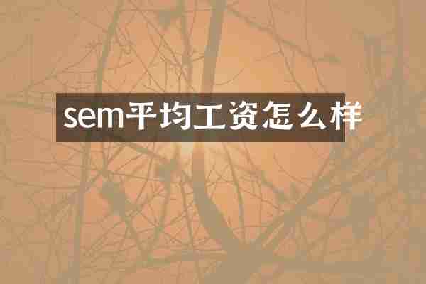 sem平均工资怎么样