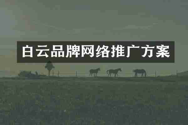 白云品牌网络推广方案