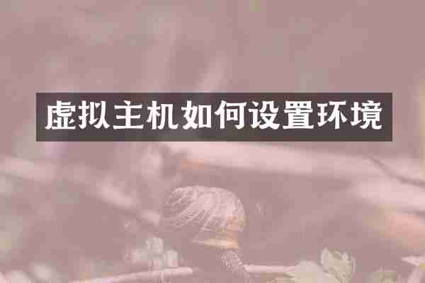 虚拟主机如何设置环境