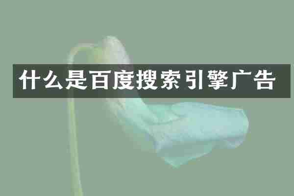 什么是百度搜索引擎广告