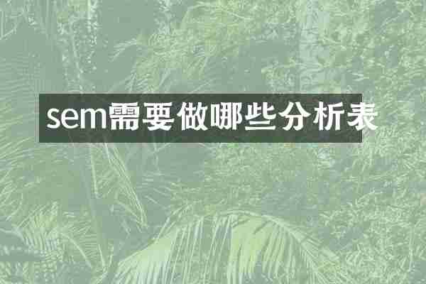 sem需要做哪些分析表