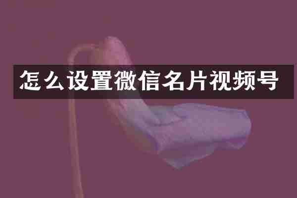 怎么设置微信名片视频号