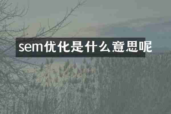 sem优化是什么意思呢