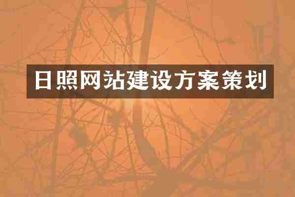 日照网站建设方案策划