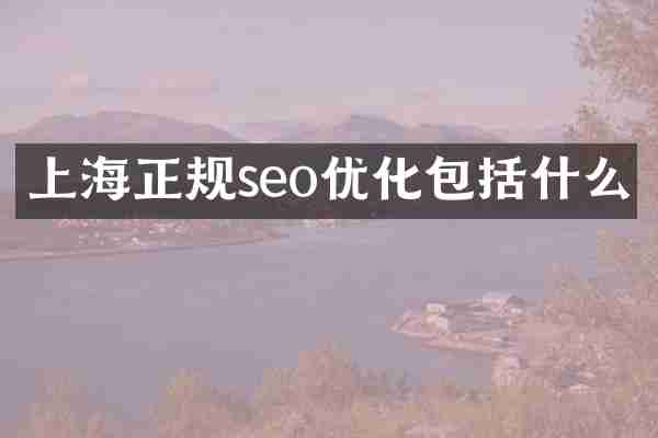 上海正规seo优化包括什么