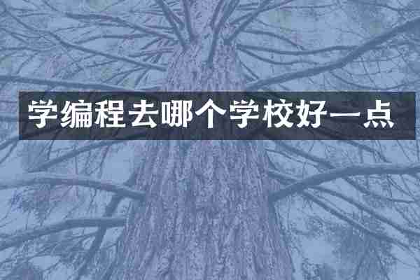 学编程去哪个学校好一点