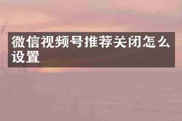 微信视频号推荐关闭怎么设置