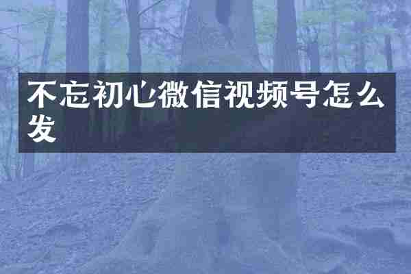 不忘初心微信视频号怎么发