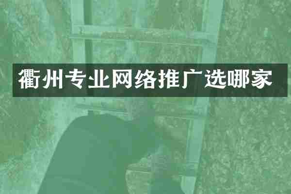 衢州专业网络推广选哪家