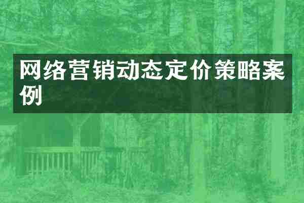 网络营销动态定价策略案例