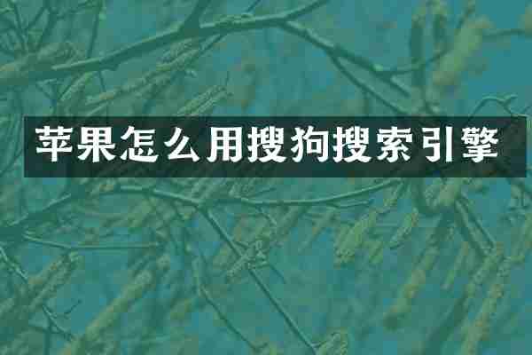 苹果怎么用搜狗搜索引擎