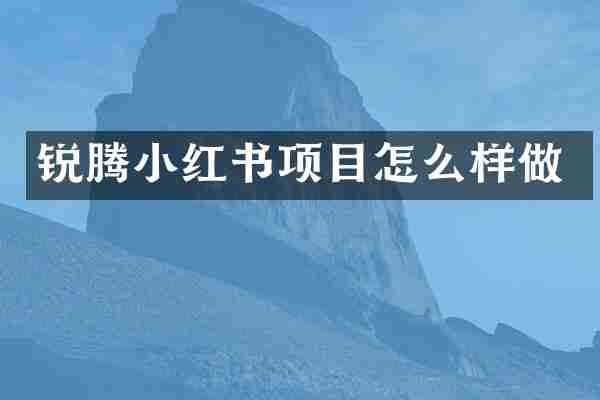 锐腾小红书项目怎么样做