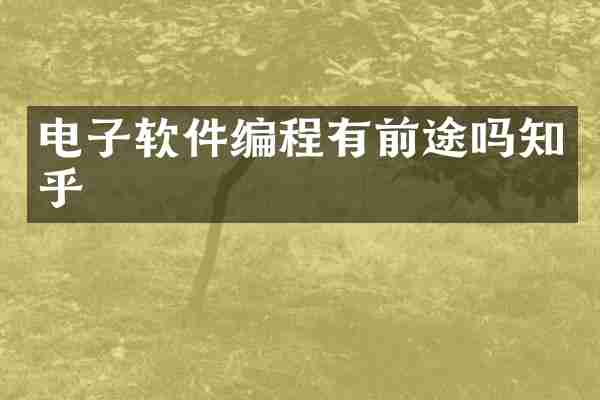电子软件编程有前途吗知乎