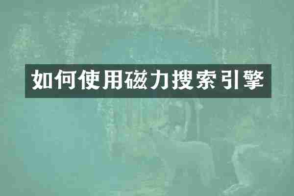 如何使用磁力搜索引擎