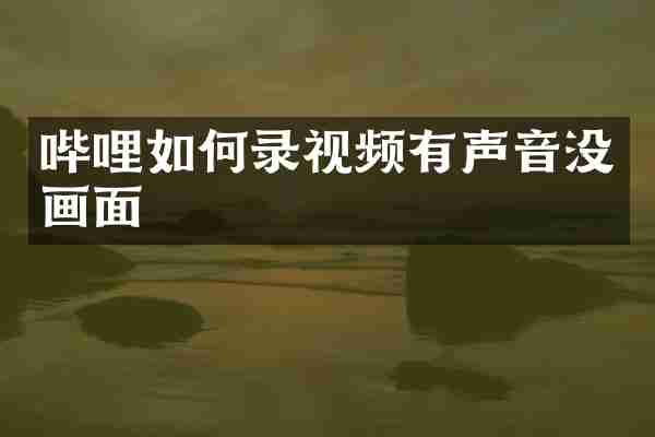哔哩如何录视频有声音没画面