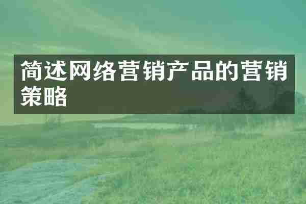 简述网络营销产品的营销策略