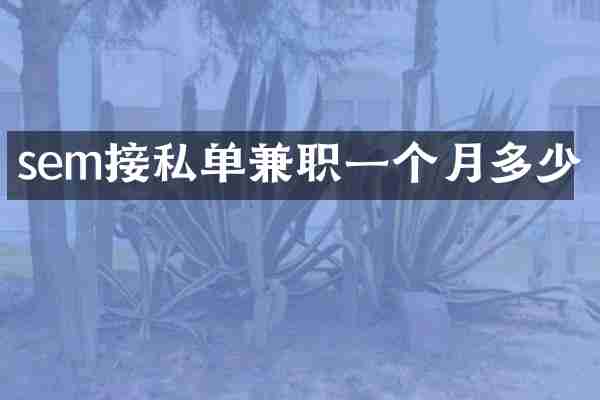 sem接私单兼职一个月多少