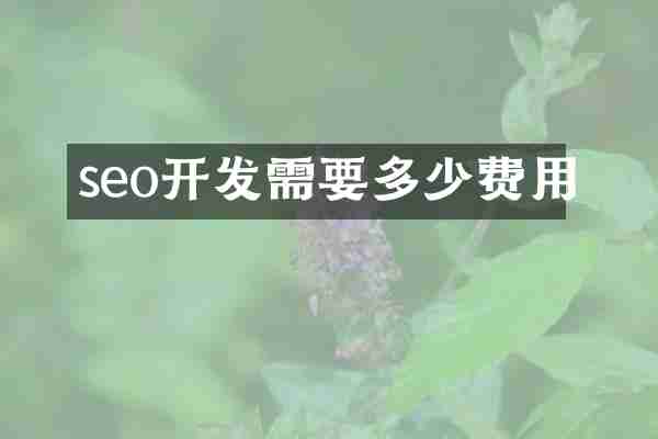 seo开发需要多少费用