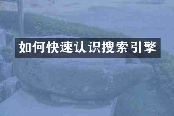如何快速认识搜索引擎