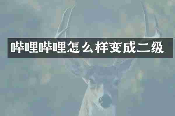 哔哩哔哩怎么样变成二级