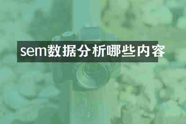 sem数据分析哪些内容