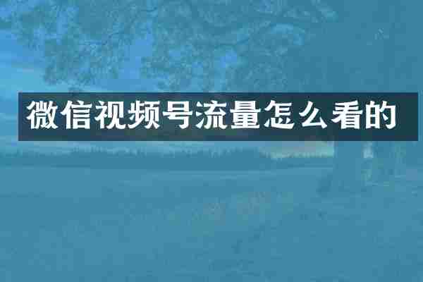 微信视频号流量怎么看的