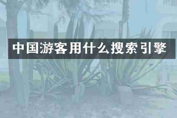 中国游客用什么搜索引擎