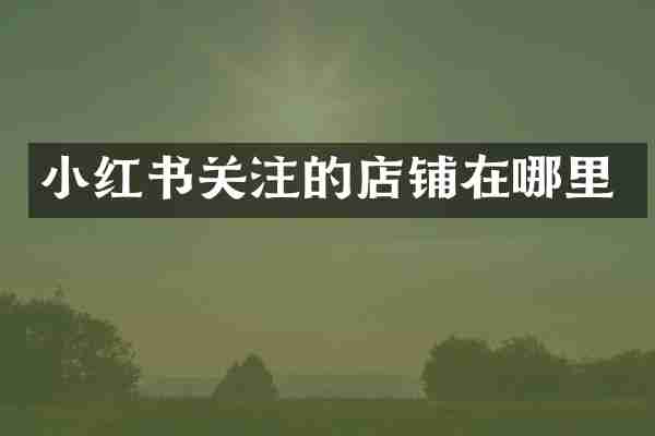 小红书关注的店铺在哪里