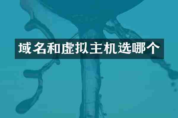 域名和虚拟主机选哪个