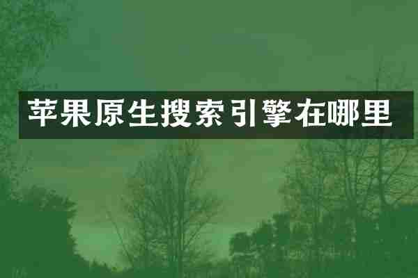苹果原生搜索引擎在哪里