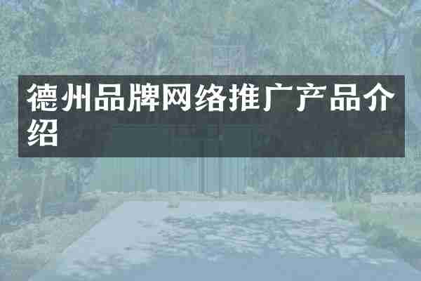 德州品牌网络推广产品介绍