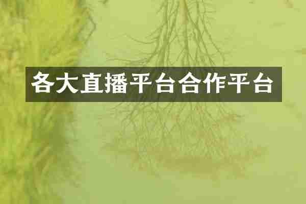 各大直播平台合作平台