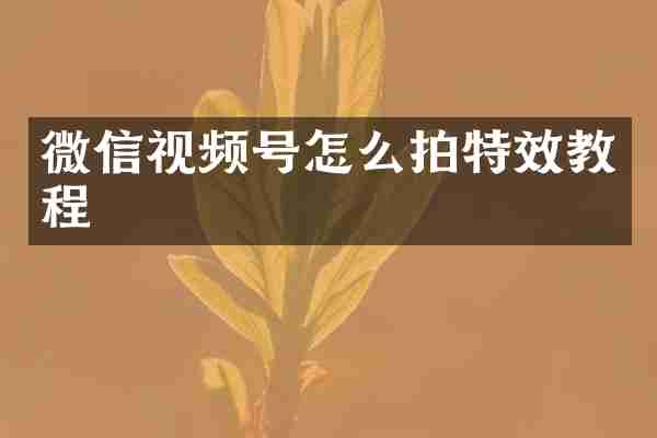 微信视频号怎么拍特效教程