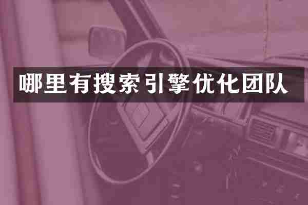哪里有搜索引擎优化团队