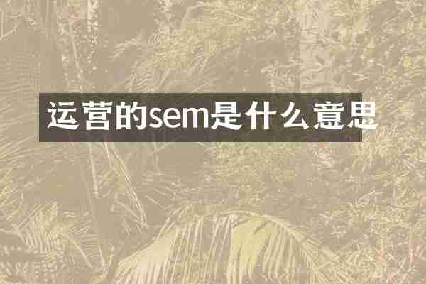 运营的sem是什么意思