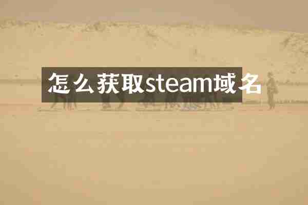 怎么获取steam域名
