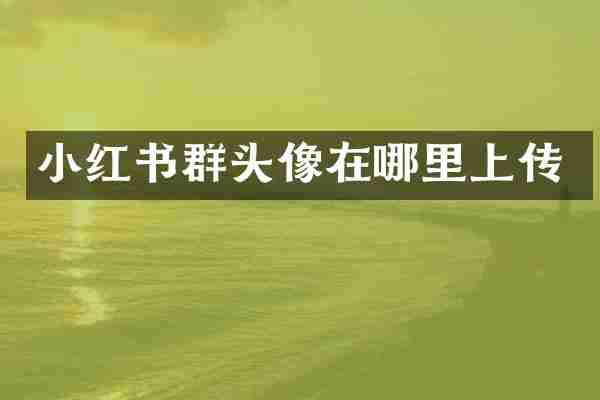 小红书群头像在哪里上传