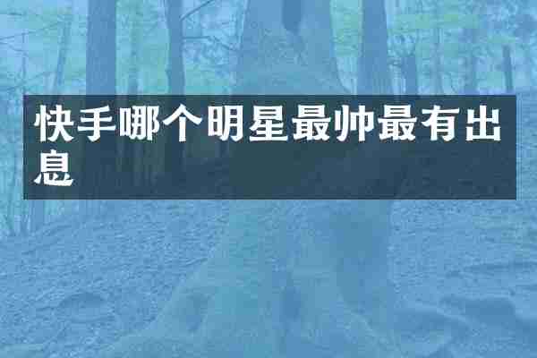 快手哪个明星最帅最有出息
