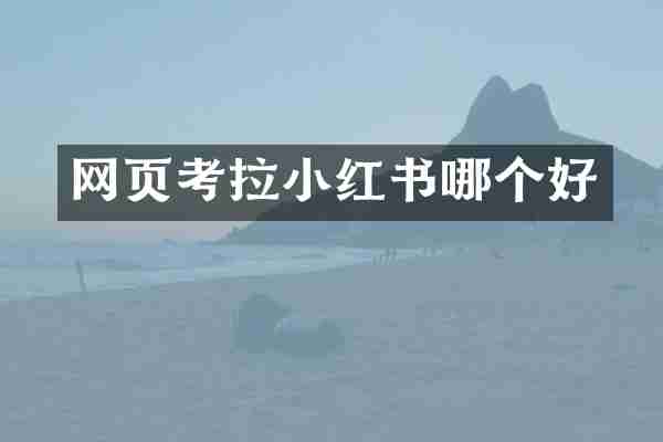 网页考拉小红书哪个好