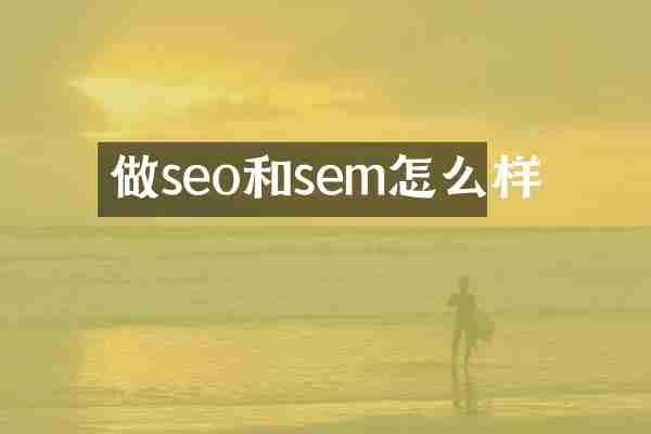 做seo和sem怎么样