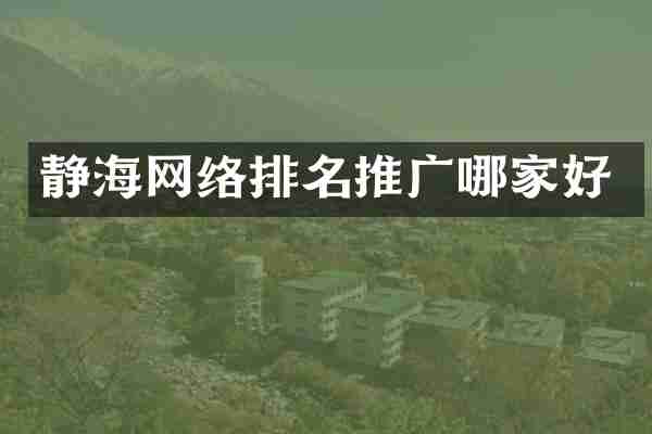 静海网络排名推广哪家好