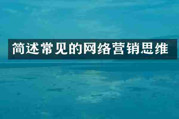 简述常见的网络营销思维